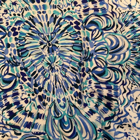 Lilly Pulitzer Skirt - Picture 3 of 3